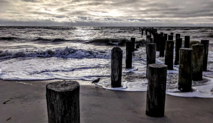 WordPress 6.9 Beta, Gutenberg 21.9, Playground, and Fields API—Weekend Edition 346