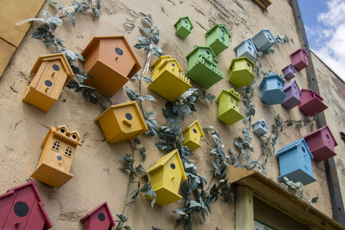 WordPress 6.0, Four Types of Themes,  Museum of Block Art – Weekend Edition #206
