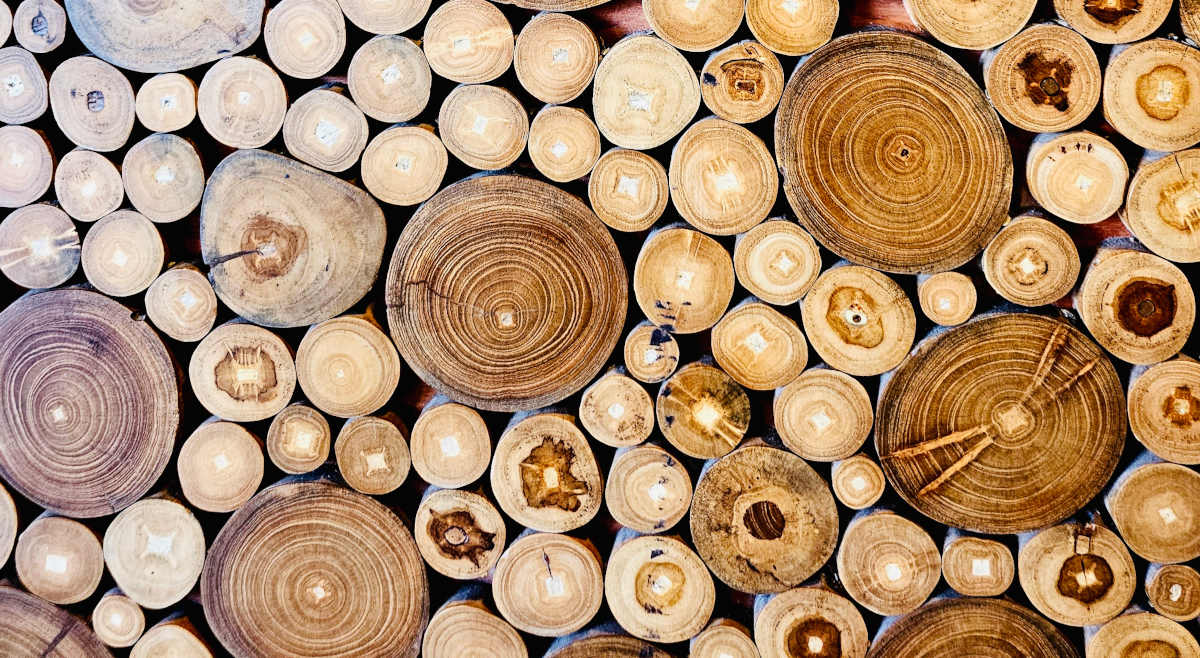 Inline comments, new Playground blueprints, block bindings and more — Weekend Edition 310